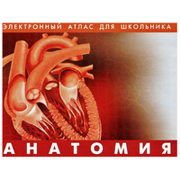 Анатомия. (Цифровой атлас школьника) - «globural.ru» - Донецк