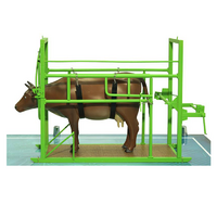 Наглядный макет «Методы и устройства для фиксации КРС» - «globural.ru» - Донецк