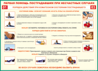 Таблица Порядок действий при коматозном состоянии пострадавшего 1000*1400 винил - «globural.ru» - Донецк