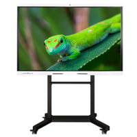 Интерактивный комплекс Geckotouch ​​​​​​​65RK - «globural.ru» - Донецк