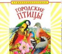 CD "Аудиоэнциклопедия. Городские птицы" - «globural.ru» - Донецк