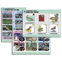 Комплект таблиц для  начальной школы "Окружающий мир. Экология" - «globural.ru» - Донецк