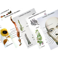 Таблицы по природоведению 1-3 класс - «globural.ru» - Донецк