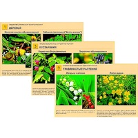 Гербарий фотографический "Ядовитые растения" - «globural.ru» - Донецк