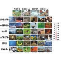 Фенологические наблюдения - «globural.ru» - Донецк