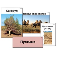 Модель-аппликация "Природные зоны России" - «globural.ru» - Донецк