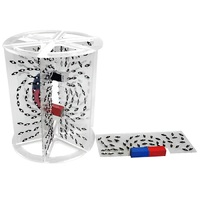 Модель для демонстрации в объеме линий магнитного поля  (вариант 1) - «globural.ru» - Донецк