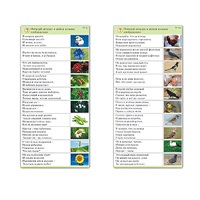 Комплект карточек (10) "Обучающий калейдоскоп. Природа" - «globural.ru» - Донецк