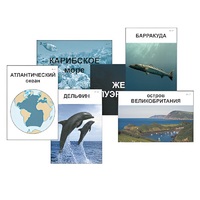 Модель-аппликация "Океаны. Знакомство" (ламинированная) - «globural.ru» - Донецк