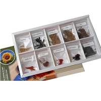 Коллекция "Плоды сельскохозяйственных растений" (вариант 2) - «globural.ru» - Донецк