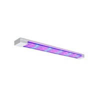 Фитолампа - «globural.ru» - Донецк