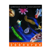 Зоология. Микрофотографии. (Цифровая база изображений) - «globural.ru» - Донецк