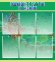 Стенд "Подготовка к ЕГЭ и ОГЭ по биологии" (вариант 1) - «globural.ru» - Донецк