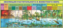 Стенд "Эволюция растительного и животного мира" - «globural.ru» - Донецк