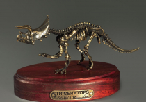 Модель скелета динозавра Triceratops - «globural.ru» - Донецк