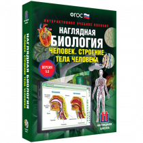 Наглядная биология. Человек. Строение тела человека - «globural.ru» - Донецк