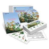 Комбинированное наглядное пособие «Растения» - «globural.ru» - Донецк