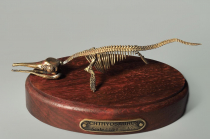 Модель скелета ихтиозавра Ichthyosaurus - «globural.ru» - Донецк