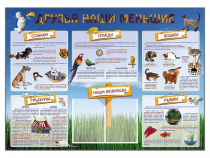 Стенд-уголок "Друзья наши меньшие" - «globural.ru» - Донецк