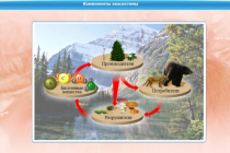 Интерактивные курсы. Биология 7 класс. Базовый - «globural.ru» - Донецк