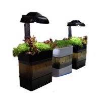 Учебная установка "Аквапоника"  - «globural.ru» - Донецк