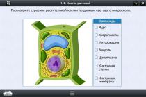 Интерактивные курсы. Биология 9 класс. Расширенный - «globural.ru» - Донецк
