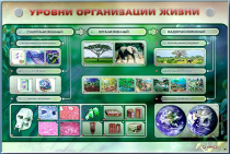Электрифицированный стенд "Уровни организации жизни" - «globural.ru» - Донецк