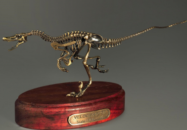 Модель скелета динозавра Velociraptor - «globural.ru» - Донецк