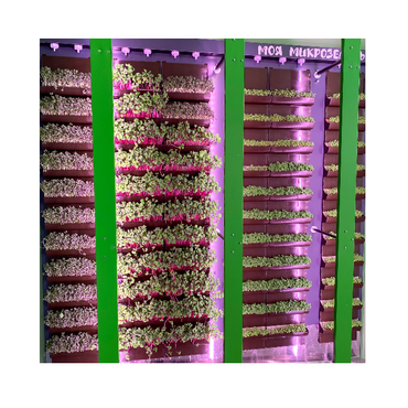 Вертикальная ферма "Моя Микрозелень" комплектация Школьная - «globural.ru» - Донецк