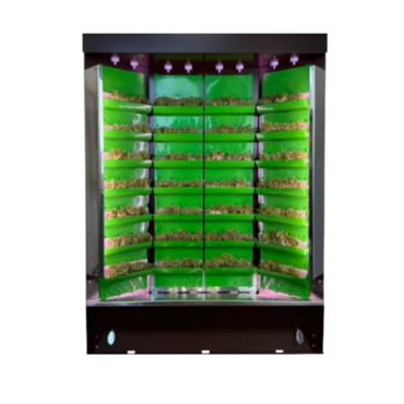 Вертикальная ферма "Моя Микрозелень" комплектация "Театро настольная" - «globural.ru» - Донецк