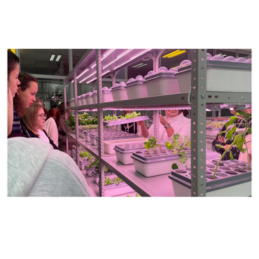 АГРОпространство для ВУЗ/СПО - «globural.ru» - Донецк