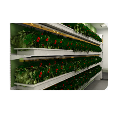 Стеллаж для выращивания клубники "Стена" - «globural.ru» - Донецк