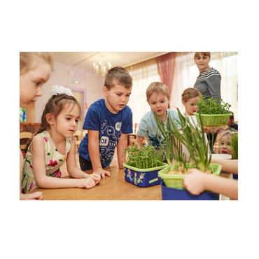Обучающий комплект экологической направленности "Сити-фермер 2.0 Детский сад" 30 человек - «globural.ru» - Донецк
