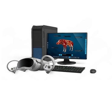 Интерактивный учебный комплекс «Анатомия Свиньи» - «globural.ru» - Донецк