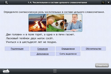 Интерактивные курсы. Русский язык 6 класс. Базовый - «globural.ru» - Донецк