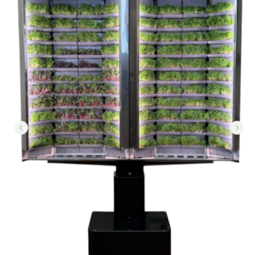 Вертикальная  ферма «Моя микрозелень» комплектация  «Театро настенная» - «globural.ru» - Донецк